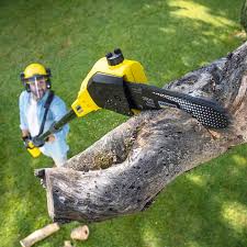 Why Choose Our Tree Removal Services in West Monroe, MI?